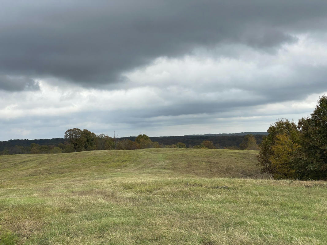 3079 N BLACK FOX HOLLOW RD, KANSAS, OK 74347, photo 1 of 44